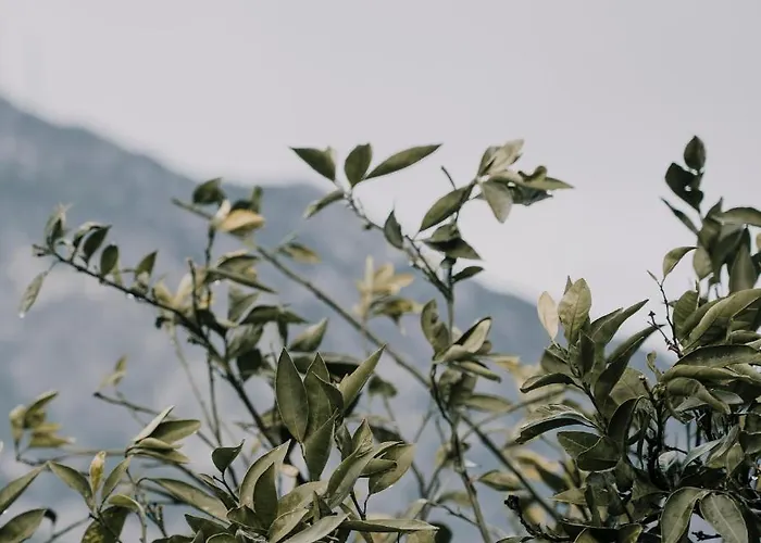 Baleze Boutique - Adults Only Szálloda Akyaka